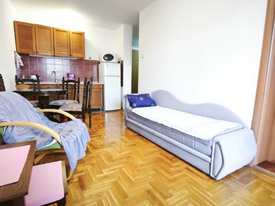 Lep i svetao 1.5 stan, 40 m2, Nova Detelinara