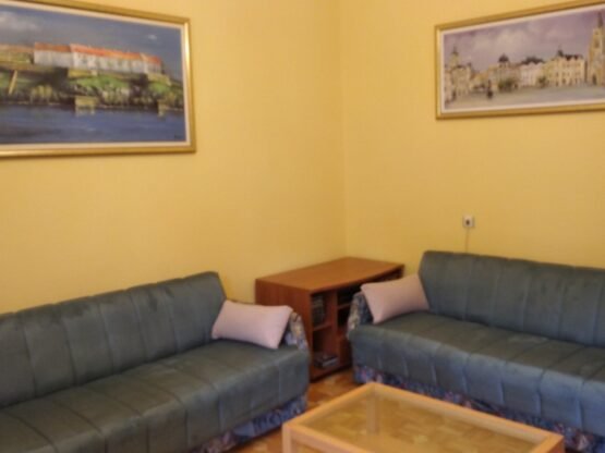 Dvosoban stan za izdavanje – Žarka Vasiljevića, 62 m², 2. sprat