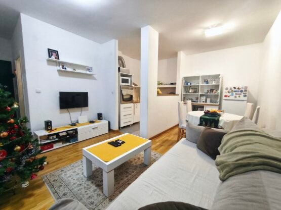 Lep 1.5 stan, 48m2, Petrovaradin