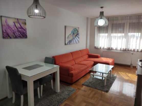 Lep 1.5 stan, 45m2, Grbavica