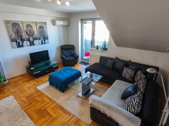 Pet friendly, 2.0 stan, 51m2, Centar