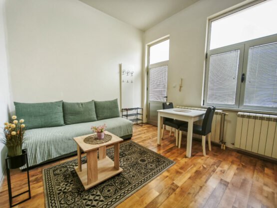 Izdaje se garsonjera, 25m2, Patra Drapšina (centar)