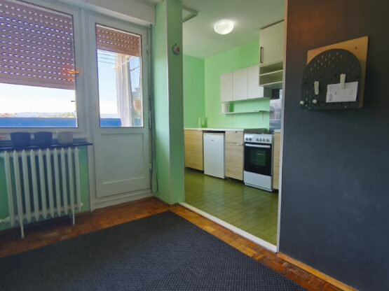 Pet friendly, 2.0 stan, 48m2, Liman 3